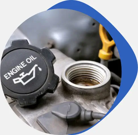 Complete Vehicle Care in One Location